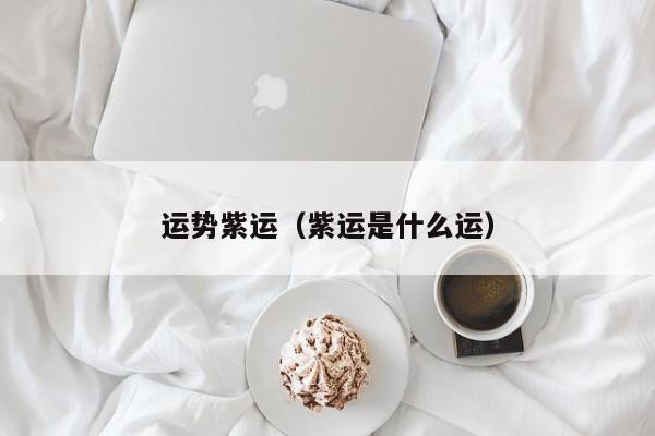 运势紫运（紫运是什么运）