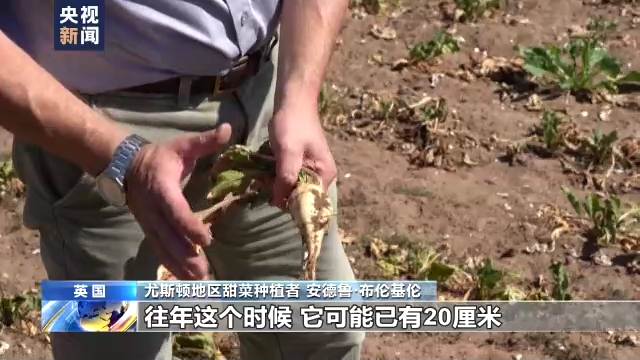 高温干旱持续 欧洲多地水位告急