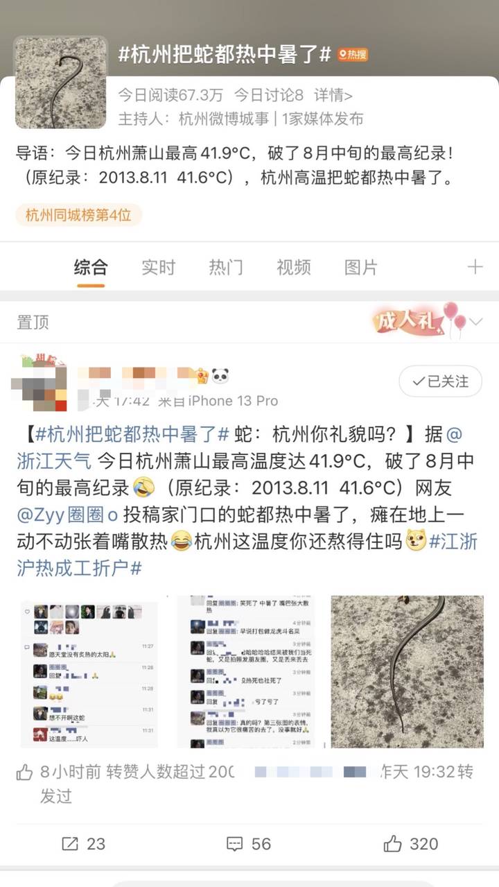 网友曝“杭州热到蛇都中暑了”，专家：虽然少见，但的确有可能