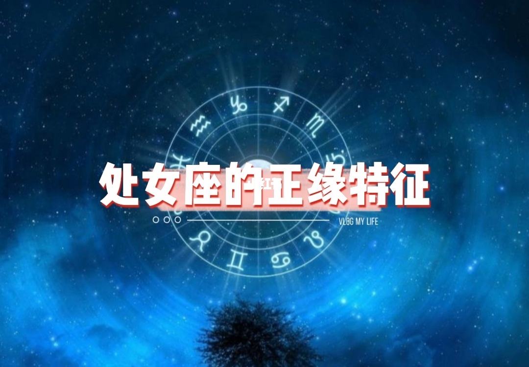 处女座喜欢什么座(处女座喜欢什么的)