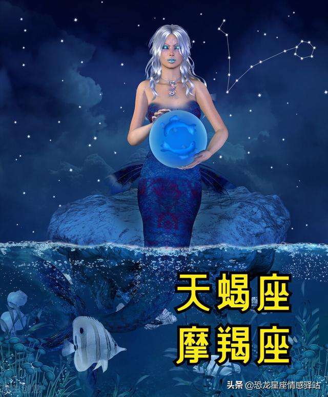 天蝎座处女座(天蝎座处女座摩羯座)