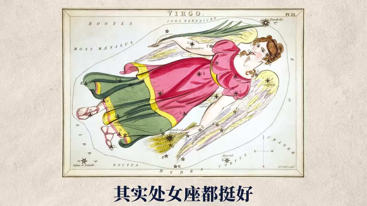 处女座性能力(处女座能力极强)