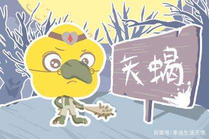 天蝎运势11月(天蝎座11月运势解读)