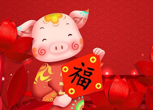 属猪的2019运势(2019年属猪的运势如何)