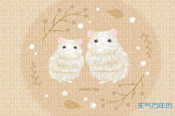 属鼠的4月运势如何(属鼠人4月份运势如何)