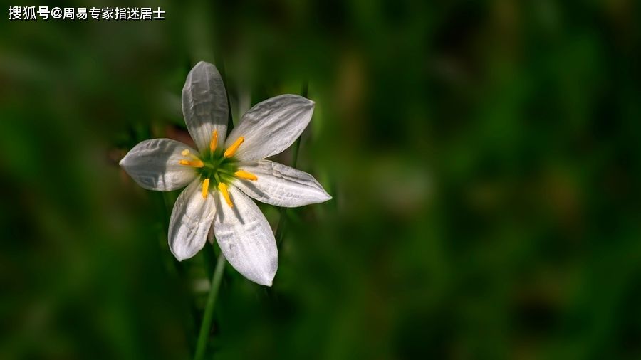 老年人运势(老年运势怎么看)