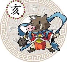 十二生肖运程2019年运势每月运程(十二生肖运程2019年运势每月运程及运程)