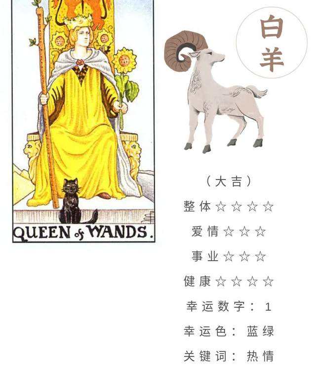 白羊座十二月运势详解(白羊座十二月运势详解女生)