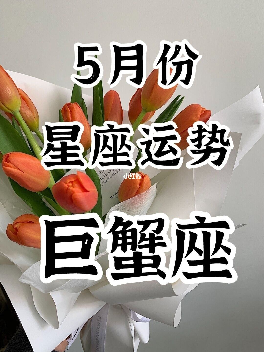 4月巨蟹座运势(巨蟹座四月下旬运势)