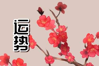 今日运势今日财运(兔人今日运势今日财运)