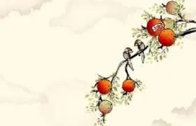 农历5月运势(十二生肖农历五月运势)