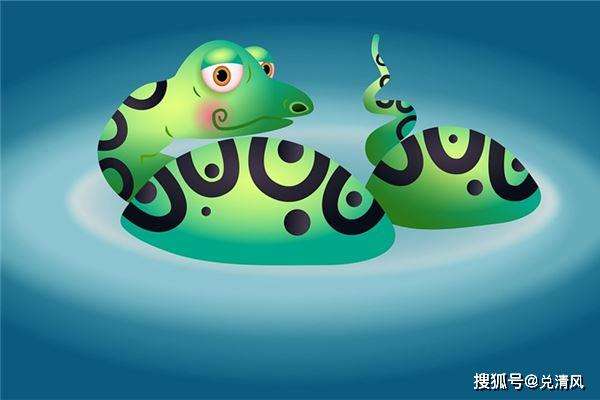 属蛇的每月运势(属蛇今年每月运势如何)