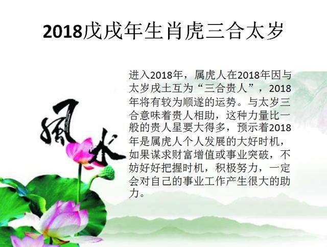 2018生肖鼠运势(生肖鼠2016年运势大全)