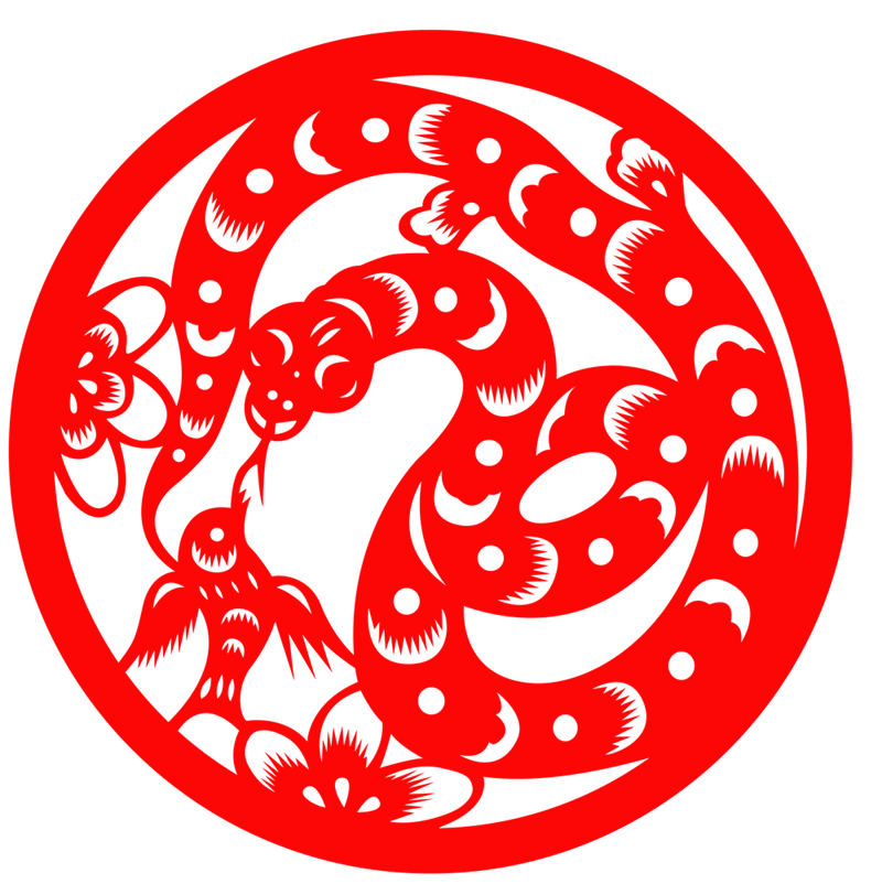 蛇年2020年运势及运程(蛇年2020年运势及运程吉凶)