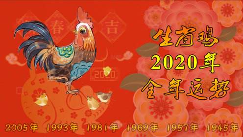 81年男2017年运势(81年属鸡人2020年运势)