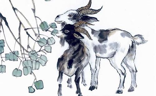 属羊人2017全年运势(2018年属羊人的全年运势详解)