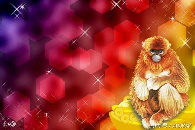 属猴和属猪的结婚合不合(属猴和属猪的结婚合不合婚)