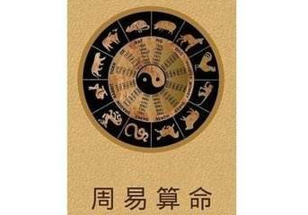 命理八字合不合财(八字合不合真的很重要吗)