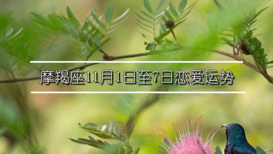 11月摩羯座运势2015(摩羯座2015年11月运势)