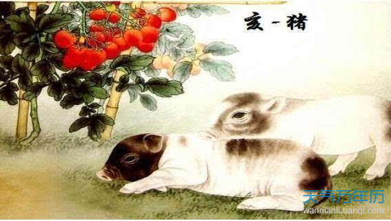 本命年运势属(本命年运势特别好说明什么)