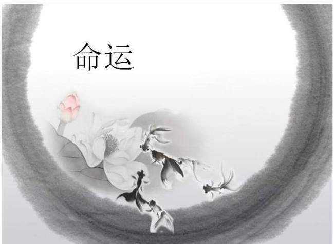 姻缘测试两个人合不合(姻缘测试两个人合不合婚)