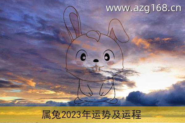 2019年属兔的人全年运势(属兔的人2019年的运势及运程)