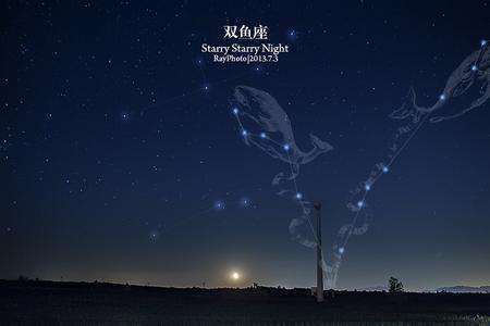 双鱼座月份运势2017(双鱼座2018年运势详解)