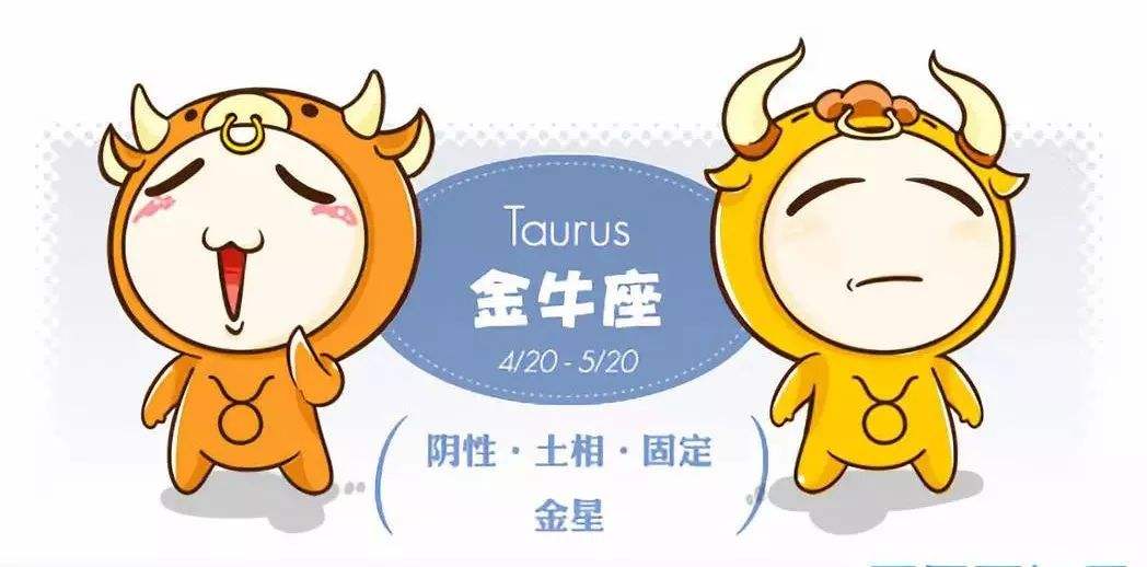 今年金牛座运势(今年金牛座运势查询)