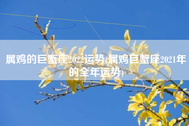巨蟹座女今年运势(巨蟹座女今年运势2021)