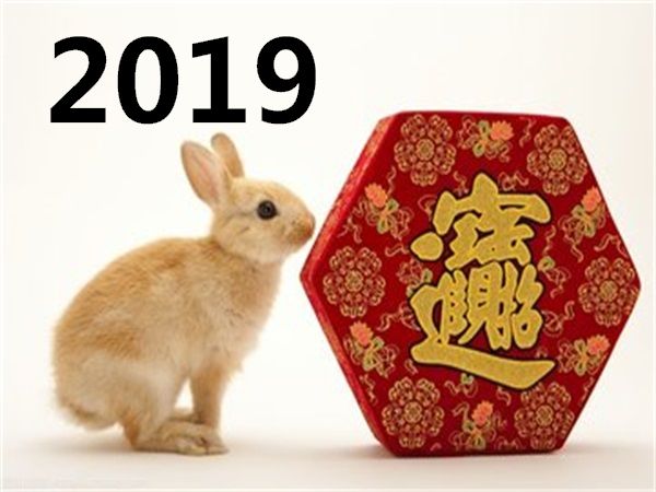 2019年属兔8月运势(2019年属兔8月运势如何)