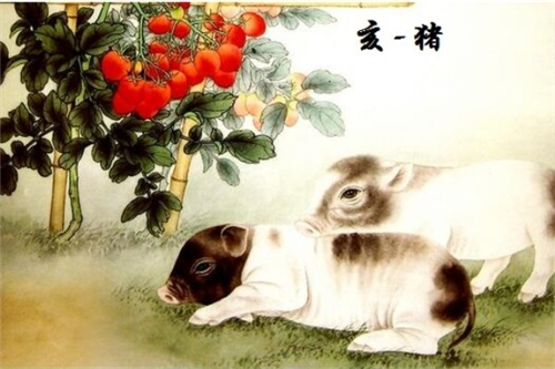 2018年属猪感情运势(2018年属猪感情运势如何)
