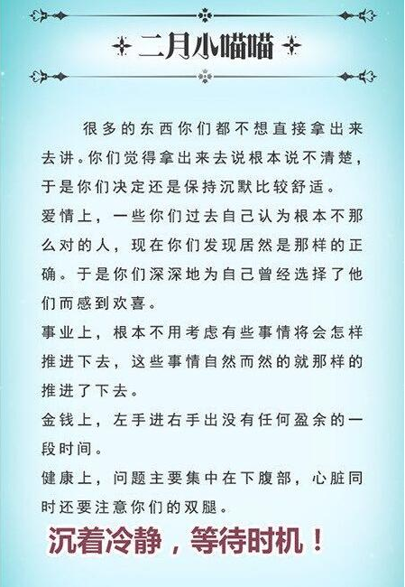 猫石对话2015运势(猫石对话2020年10月咪咪运势)