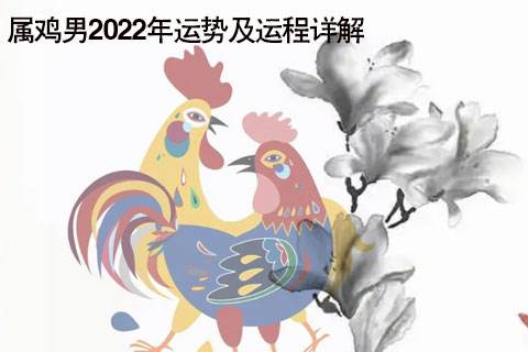 属鸡的每月运势运程(属鸡2018年运势及运程每月运程)