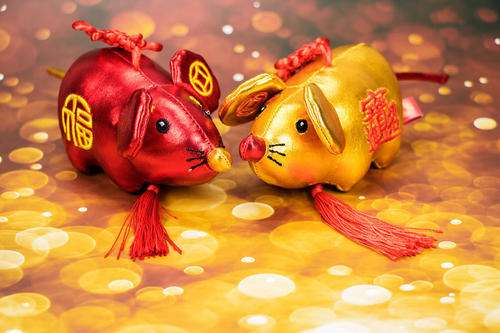 72年属鼠2016年运势(72年属鼠2016年运势怎么样)