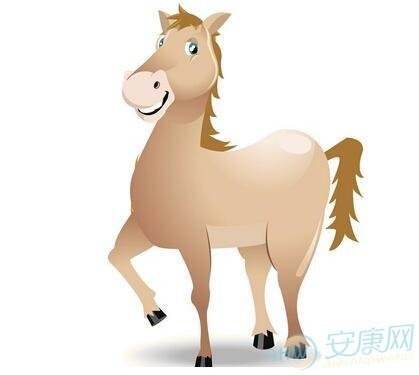 属马2020运势及运程(属马的2020年运势运程)