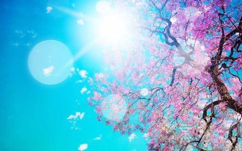 一生的婚姻运势(牛人今年婚姻运势)