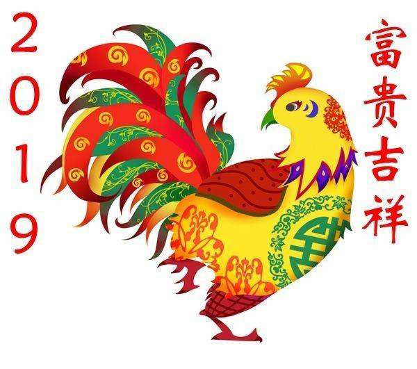 六月份属鸡的运势(属鸡的今年六月份的运势如何)