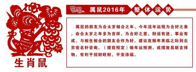 属鼠的在2019年每个月运势(属鼠的在2019年每个月运势好不好)
