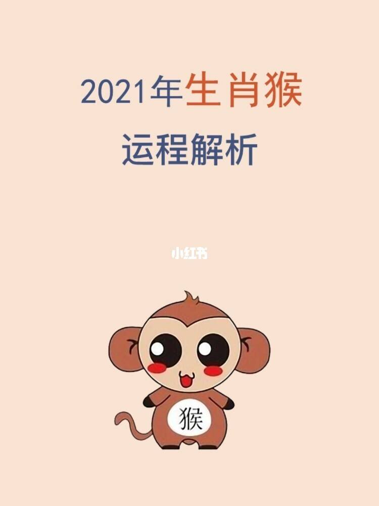 2016生肖猴运势(生肖猴2017年运势大全)