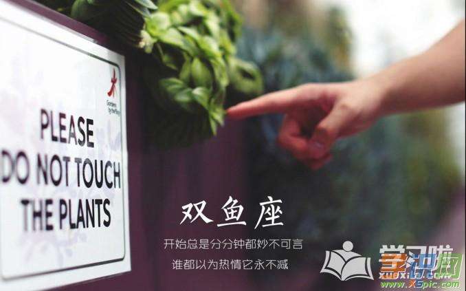 2017双鱼3月运势的简单介绍