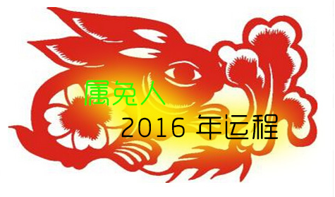 兔人2017年运势(属兔人2017年运势运程每月运程)