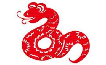 属蛇的今年运势2019(属蛇的今年运势和财运怎么样)