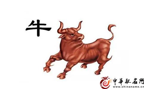 生肖运势5月6号运势(生肖运势5月6号运势法)