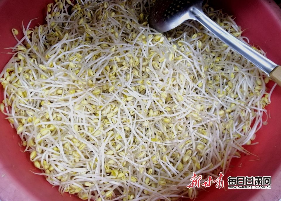 豆芽怎么鉴别合不合格(豆芽怎么鉴别合不合格呢)