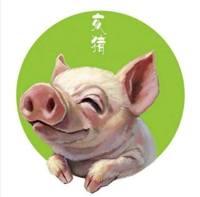 属猪人11月运势(属猪人11月份运势)