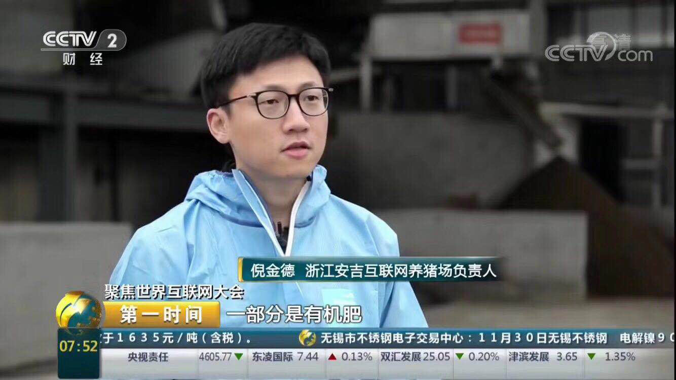 猪爸和龙娃合不合(猪爸爸和猪宝宝合不合)