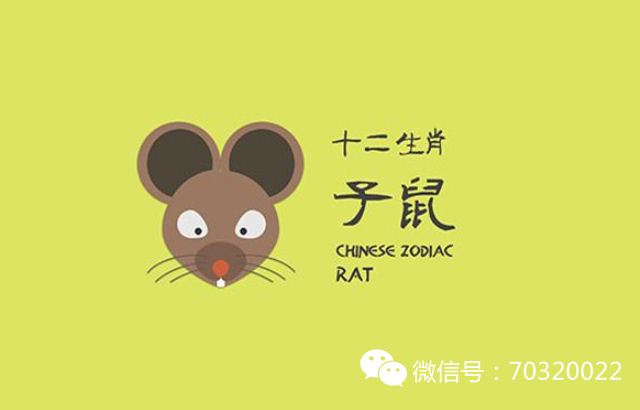 属相鼠和属相龙合不合(属相鼠和属相龙合不合适)