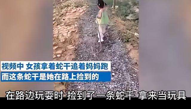 蛇姐姐和虎宝宝合不合(蛇姐姐和虎宝宝合不合得来)