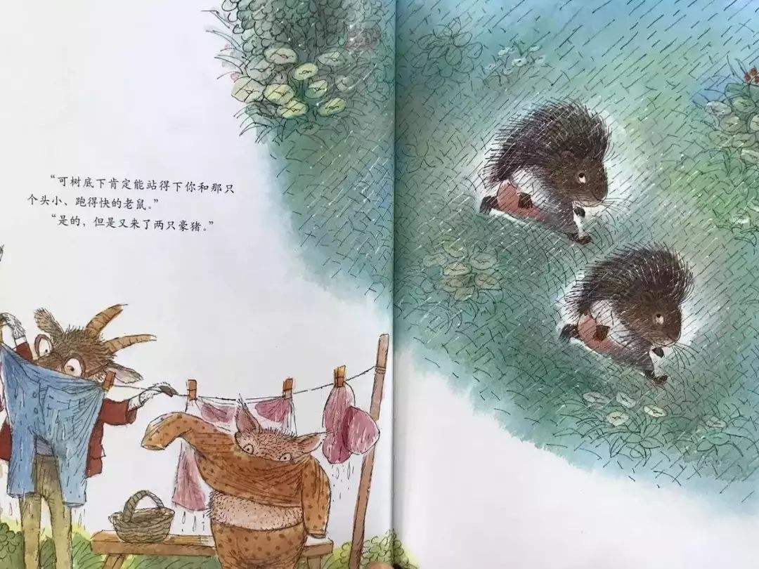 鸡和鼠姐弟合不合婚(鸡和鼠姐弟合不合婚配)