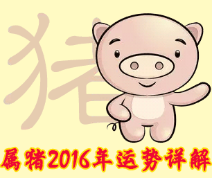 猪人今年每月运势(猪人今年每月运势怎么样)